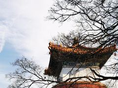 -颐和园