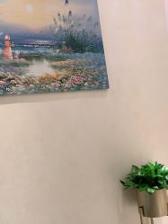 -薇兰专业脱毛连锁机构