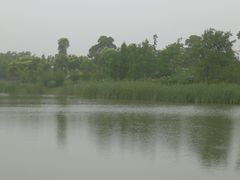 -尚贤河湿地