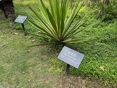 -厦门悦华酒店