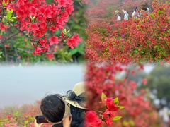 -瑞安圣井山景区