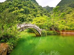 -靖西鹅泉风景区