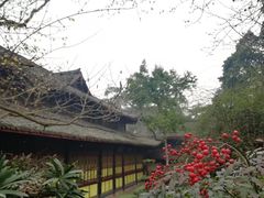 -峨眉山报国寺