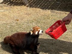 -水上乐园·欢乐世界