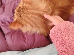 -平行世界·猫咖(首经贸店)
