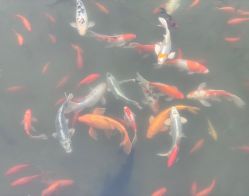 -大望京儿童游乐场