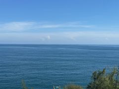 -广东惠东海龟国家级自然保护区