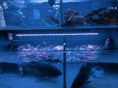 -韩妹鱼庄·泸定老字号(泸定店)