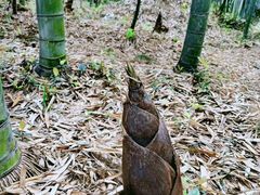 -陶祖圣境风景区