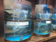 -老船舫·现做活鲜鱼馆(东郊记忆店)