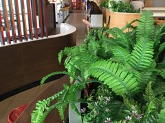 大堂-麦当劳(展览路店)