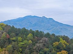 -庐山风景名胜区-东林大佛