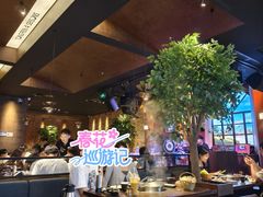 -同仁四季椰子鸡(宝安壹方城店)