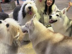 -TrueLove @ Neverland (Husky Cafe)