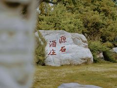 -源石酒庄