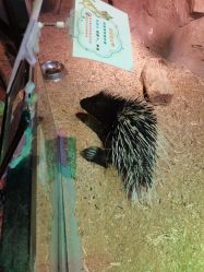 -酷嗒动物文化乐园(cutezoo西溪乐天城店)