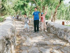 -阳台山自然风景区