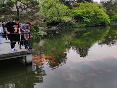 -西湖外事游船(花港观鱼码头)