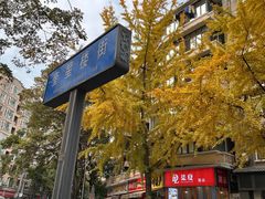 -奎星楼街