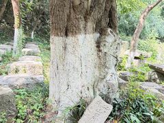 -南山风景名胜区