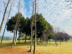 -眉山湿地公园(东坡区)