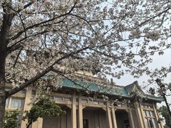 -武汉大学-樱园