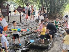 -成都市活水公园
