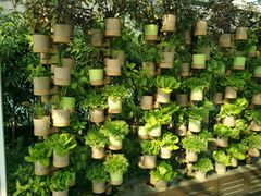 -中国农科院国家农业科技展示园