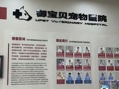 -御宝贝24h宠物医院·转诊中心·CT核磁血透中心(厦门总院)