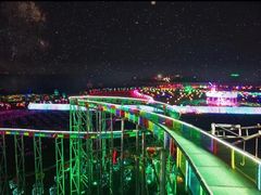 -枫林花海