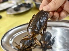 -潮记饭店(钟四商业街店)