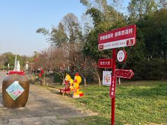 -杏花村文化旅游区