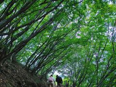 -北京密云天门山风景区