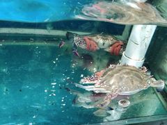 -吕氏疙瘩汤·私家菜馆(慈云寺店)