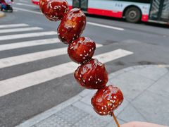 -邓记新一代糖油果子(四川煤管局供销公司职工宿舍店)
