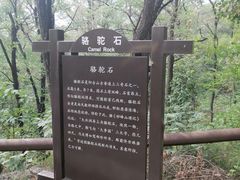 -阳台山自然风景区