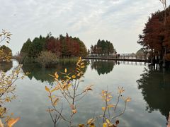-贡湖湾湿地公园