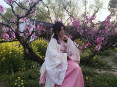 -南汇桃花村