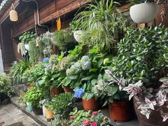 -龙姐私房菜(和顺古镇店)