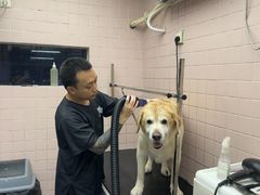 -FAELING PETS美天灵宠物(富力广场店)