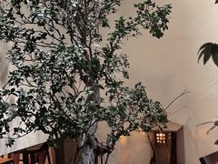 景观位-成川茶店·潮汕工夫浓茶(万象店)