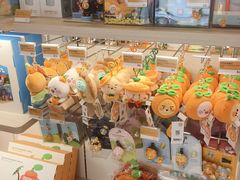 -新罗免税店(济州店)