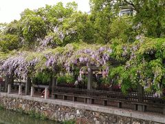 -江南大学(蠡湖校区)