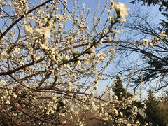 -长春公园(普阳街道)