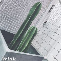 -时尚工厂·科学染发
