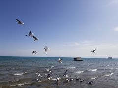 -青海湖国家重点风景名胜区