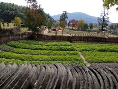 -塔川景区