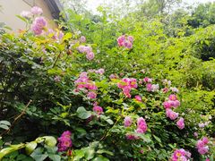 -武汉园博园(武汉自然博物馆)