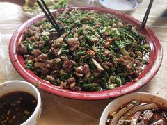 -东吴霸王兔(松青路店)