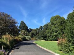 -墨尔本皇家植物园